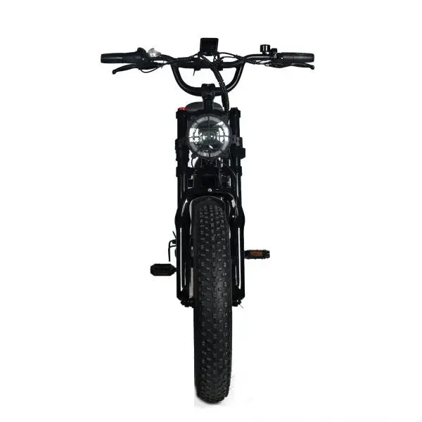 1000W Off-Road Electric Mountain Bike — 48V 20Ah Removable Battery, 45 MPH, 20x4.0 Tires, Shimano 7-Speed